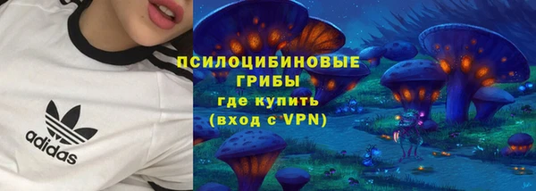 тгк Алексин
