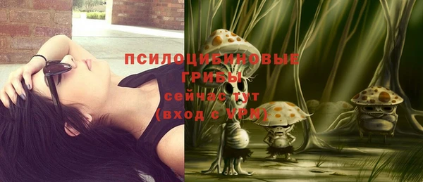 тгк Алексин