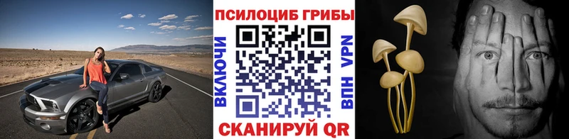 omg маркетплейс Ленинск-Кузнецкий Галлюциногенные грибы MAGIC MUSHROOMS