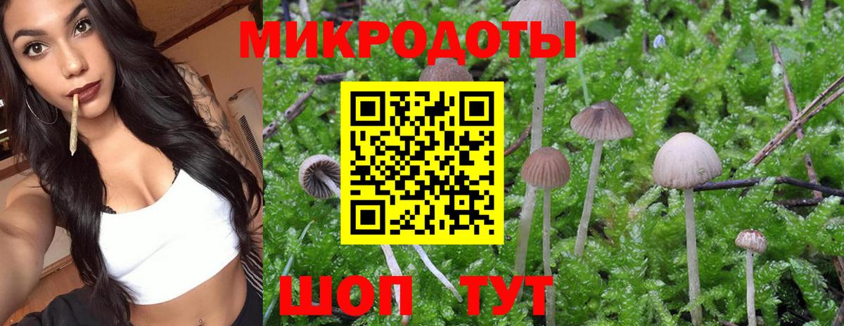 Ленинск-Кузнецкий  Псилоцибиновые грибы Psilocybe  Вход с VPN 