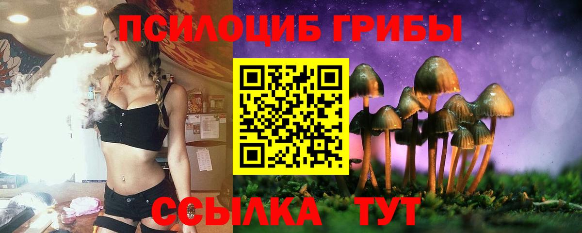 Галлюциногенные грибы мицелий Ленинск-Кузнецкий